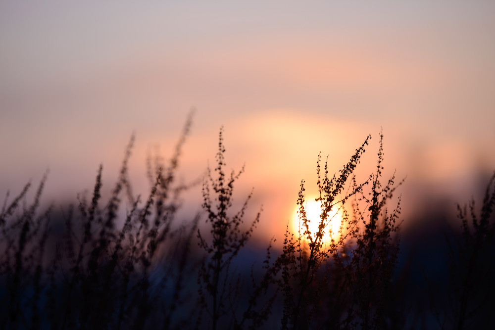 Karma-Auflösung, ein spirituelles Konzept: Foto: © Cyrustr / shutterstock / #1918086824